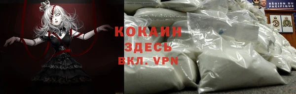 дживик Алзамай